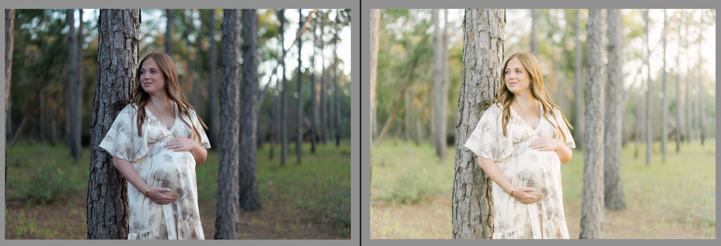 Ultimate Lightroom Toolkit