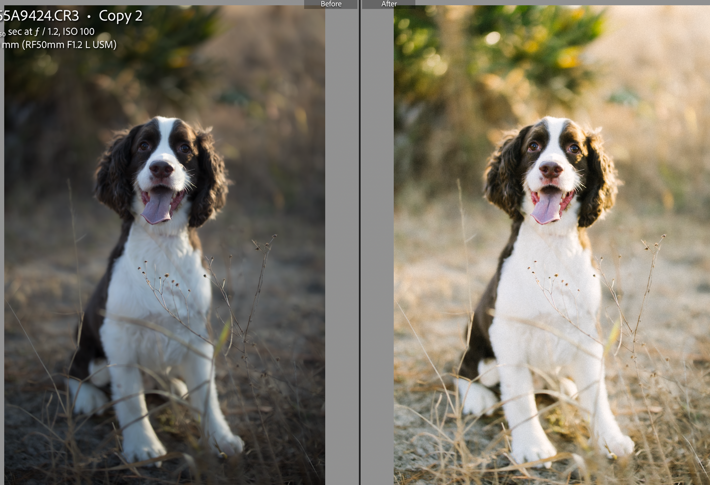 Ultimate Lightroom Toolkit